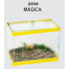02030 - BETEIRA MAGICA DECORADA