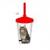 COPO RACAS 750ML CAT MAINE COON C/TAMPA