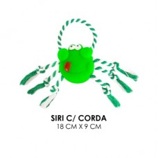 03420 - SIRI C/ CORDA