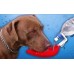 BEBEDOURO DOG DRINK S ROSA